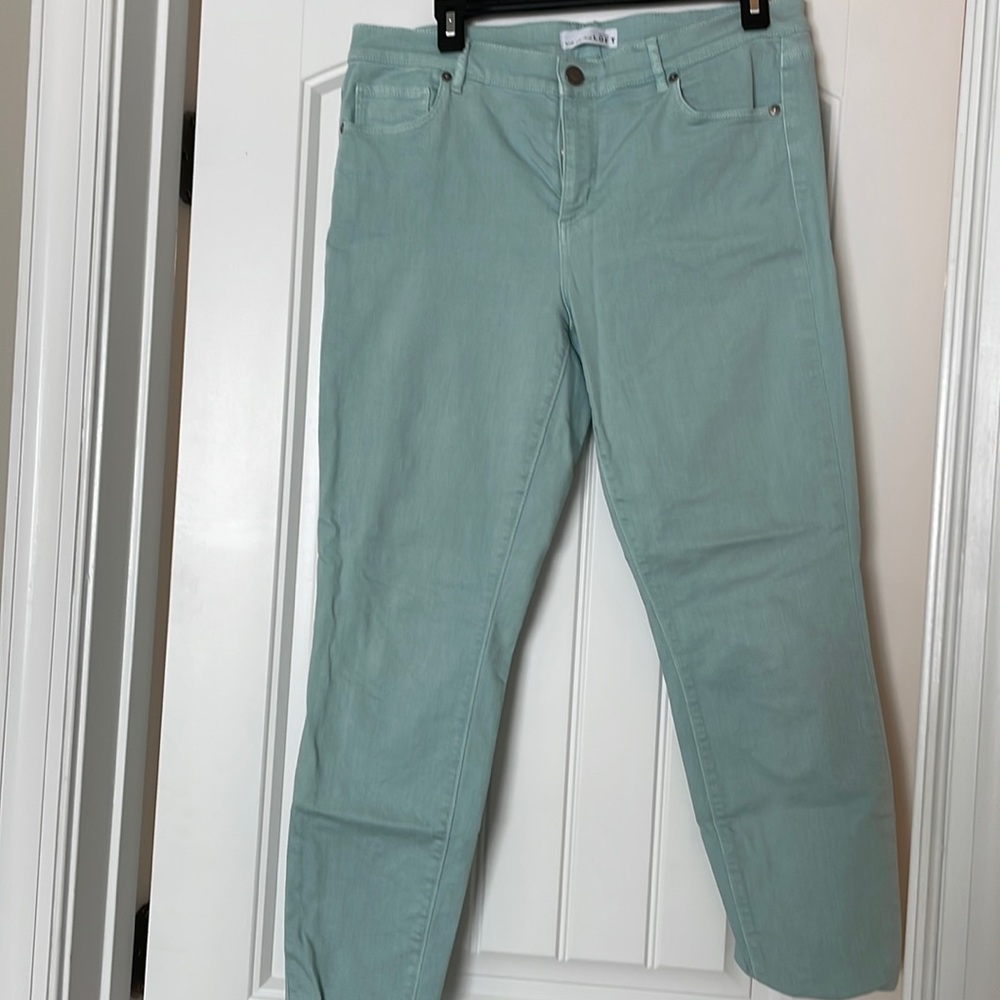 Anne Taylor Loft Pants